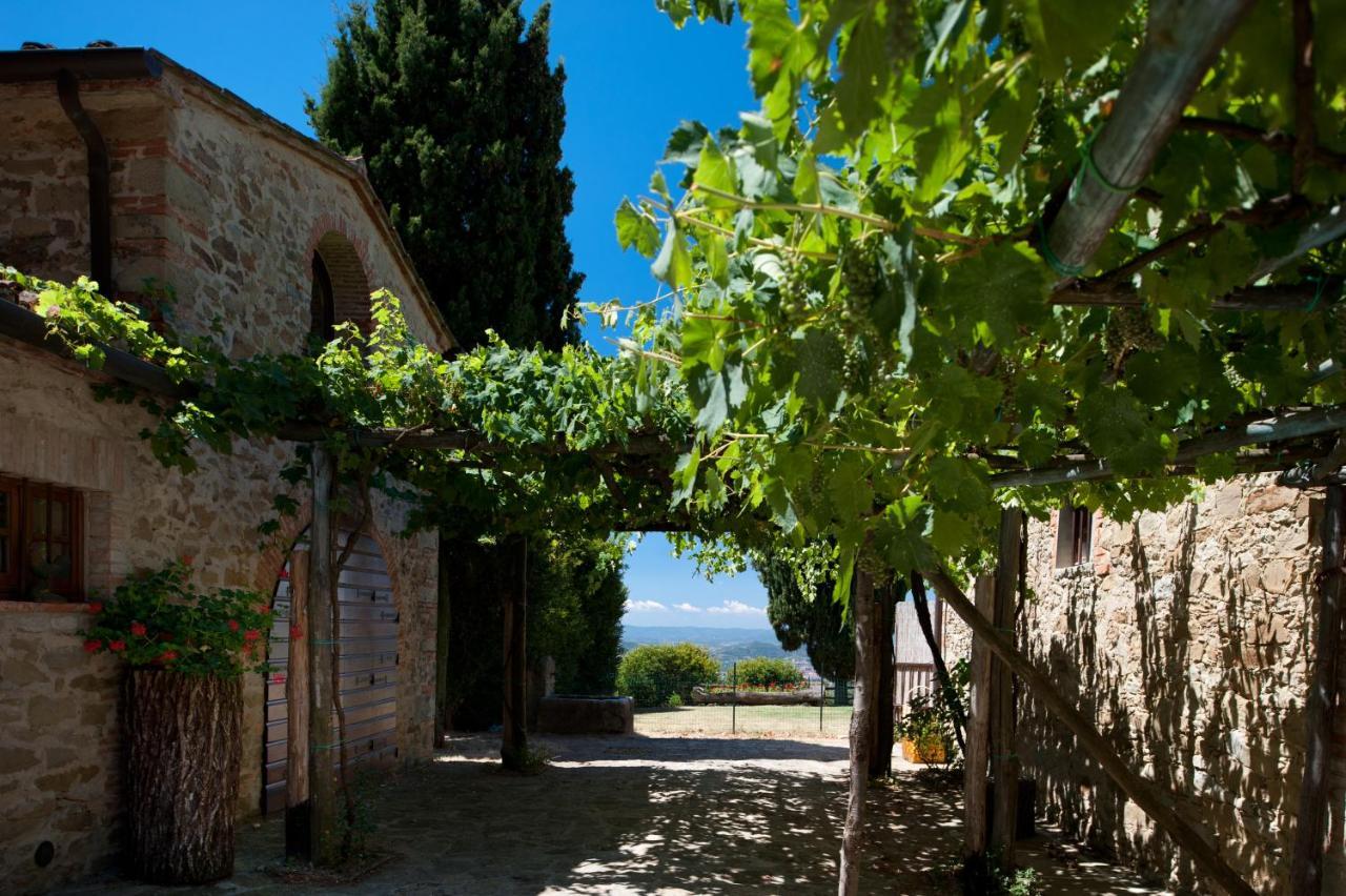 Villa Mandorlo - Pomaio Wines & Hospitality Arezzo Exteriér fotografie
